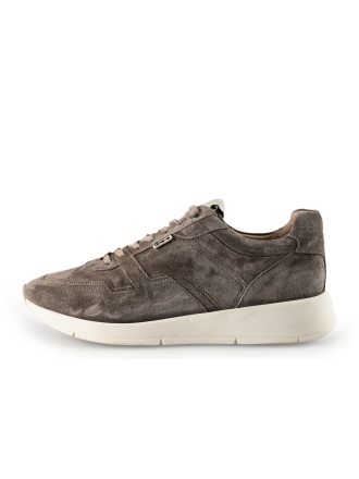 Greve Sneakers Bruin 283921