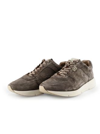 Greve Sneakers Bruin 283921