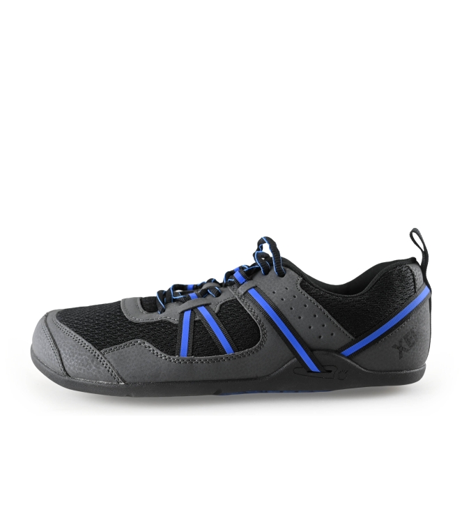 Xero Sneakers