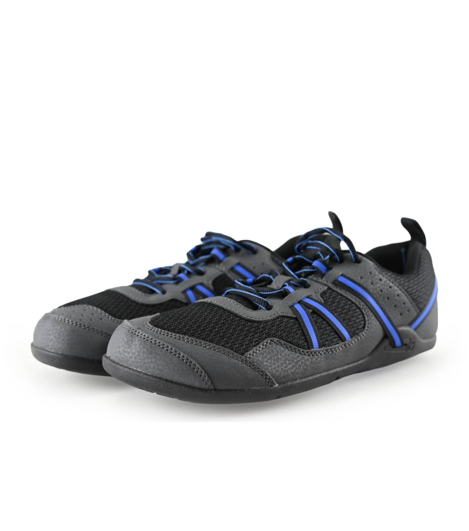 Xero Sneakers