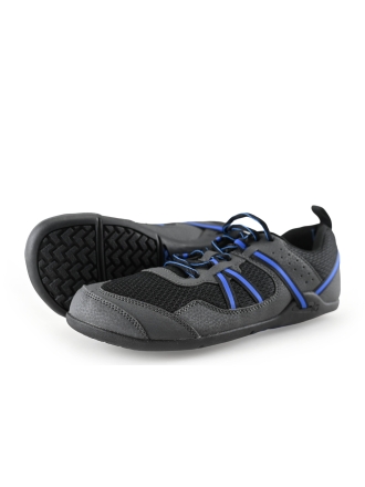 Xero Sneakers