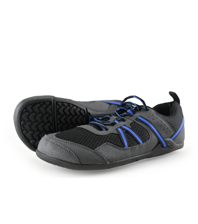 Xero Sneakers