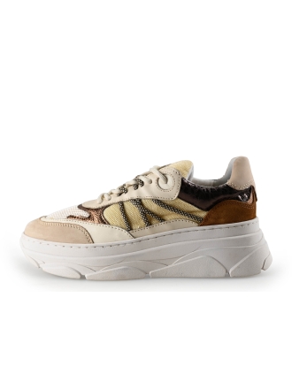 Nelson Sneakers Beige 284491