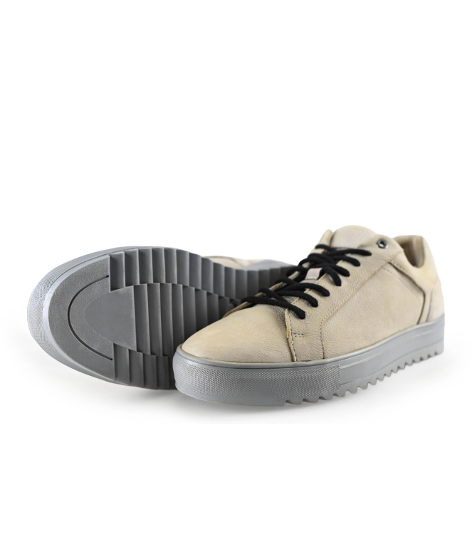 Haboob Sneakers