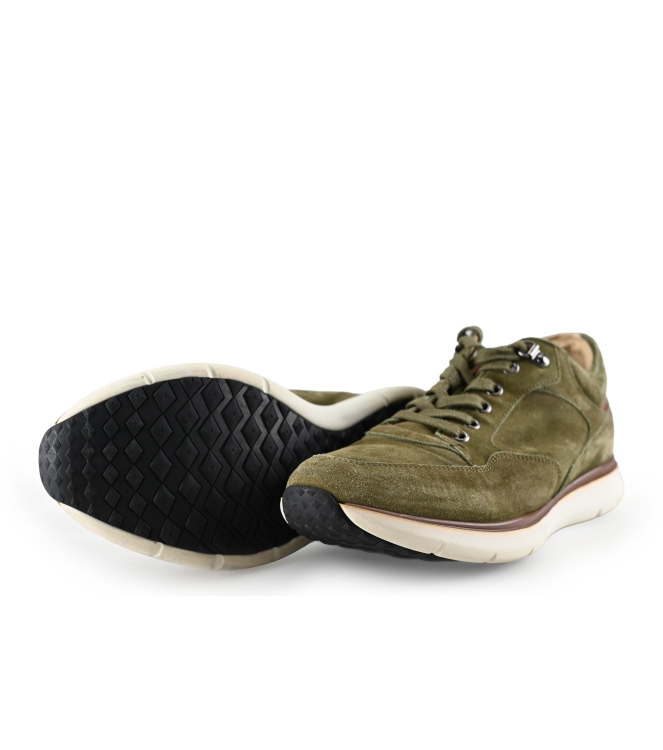 Greve Sneakers