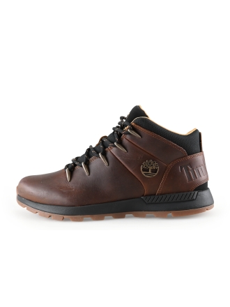 Timberland Hoge sneakers