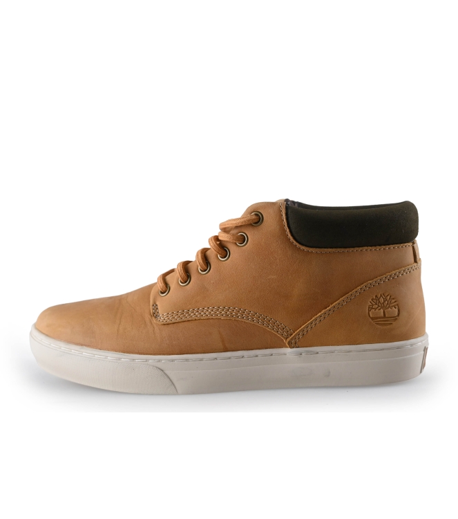 Timberland Hoge sneakers