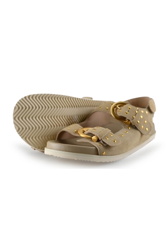 Josh V Sandalen
