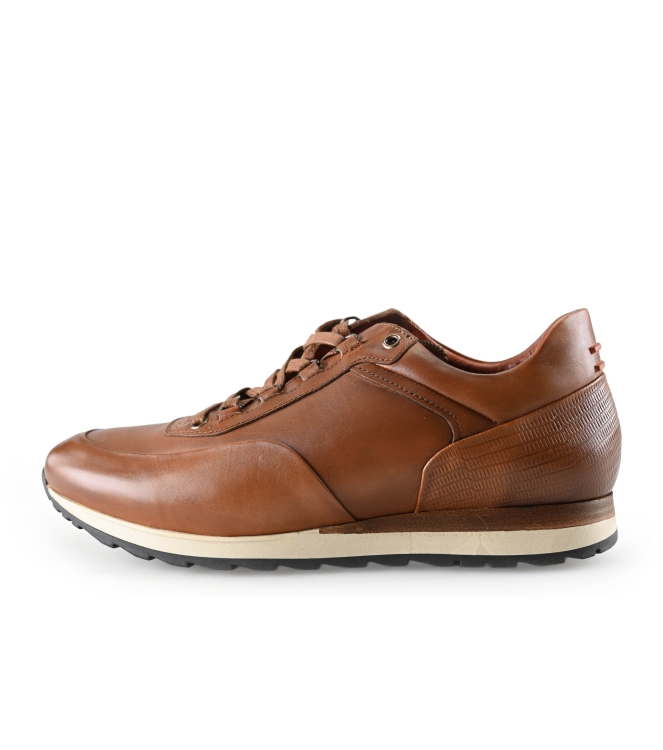 Greve Sneakers