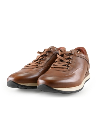 Greve Sneakers