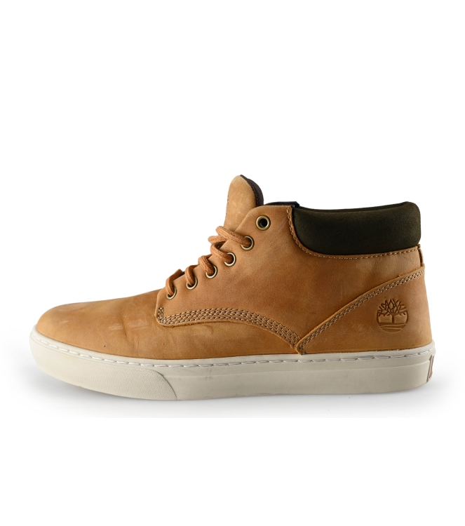 Timberland Hoge sneakers