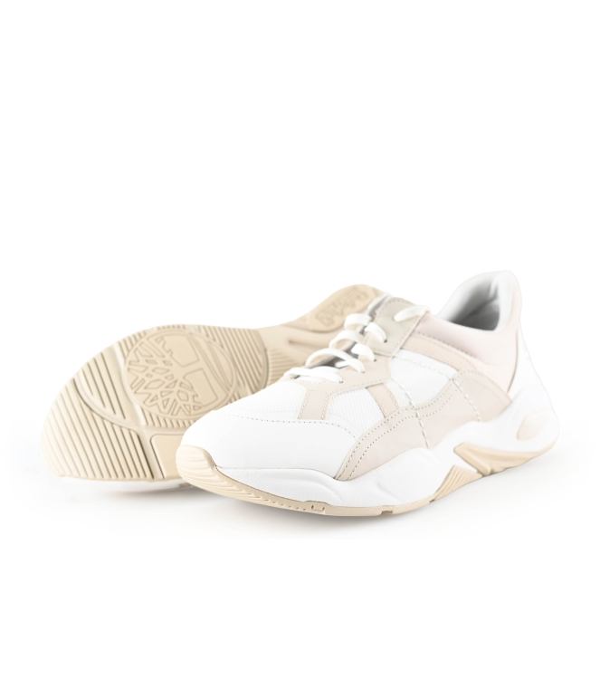 Timberland Sneakers