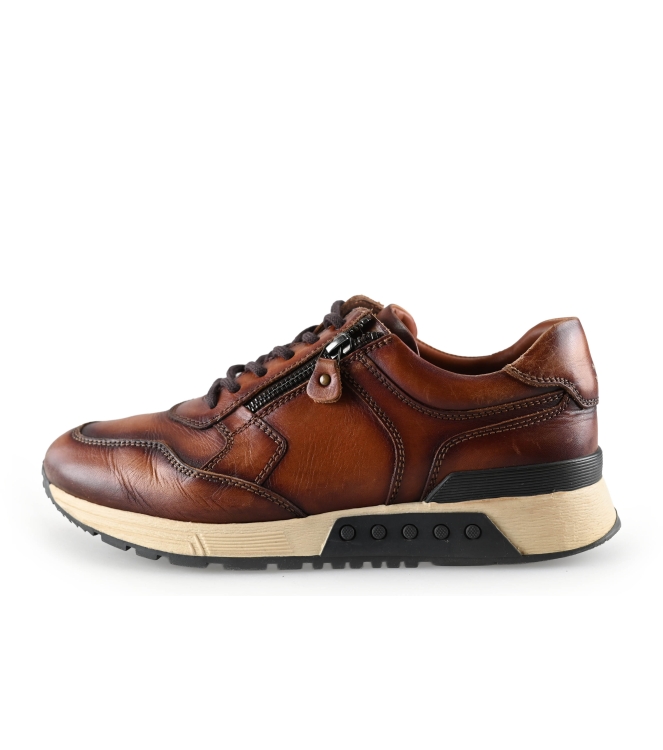 Greve Sneakers