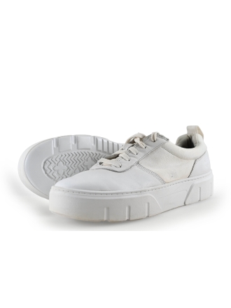 Timberland Sneakers