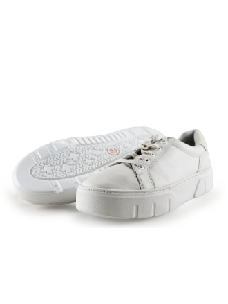 Timberland Sneakers