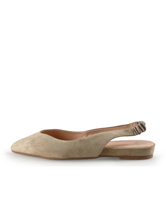 Manfield Ballerina's