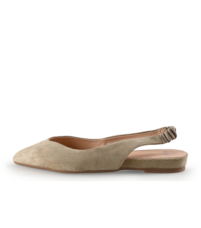 Manfield Ballerina's