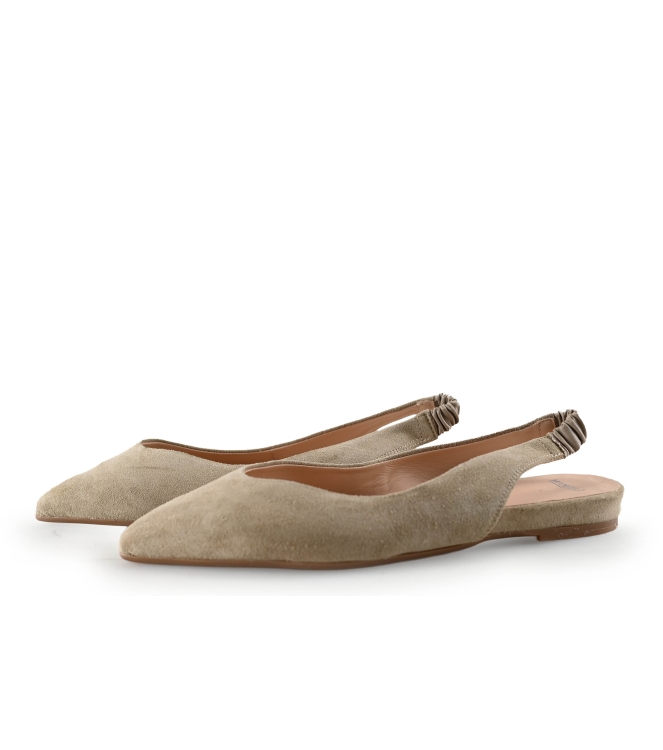 Manfield Ballerina's
