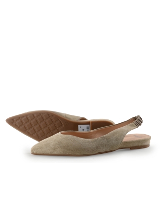 Manfield Ballerina's