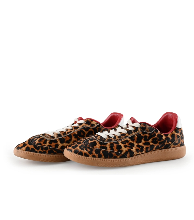 Sacha Sneakers