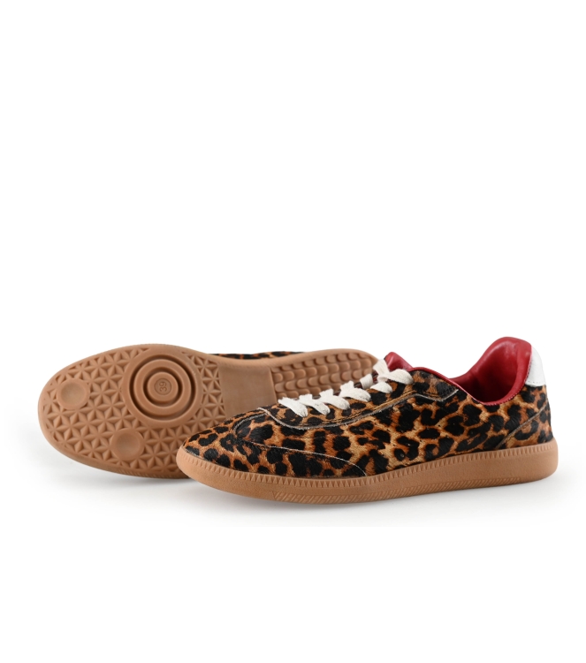 Sacha Sneakers