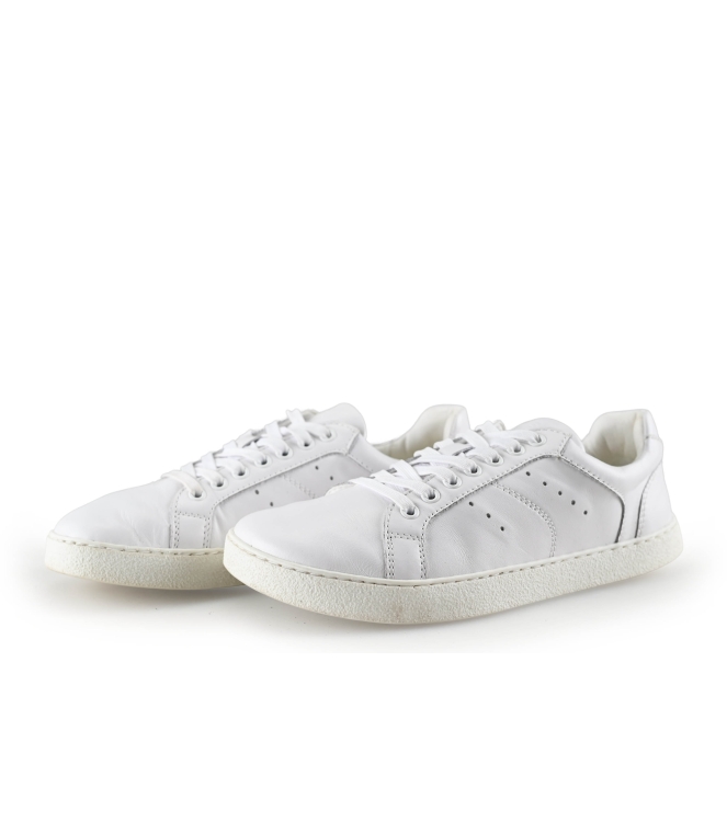 Barefoot Groundies Sneakers