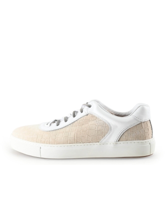 Greve Sneakers Beige 290127