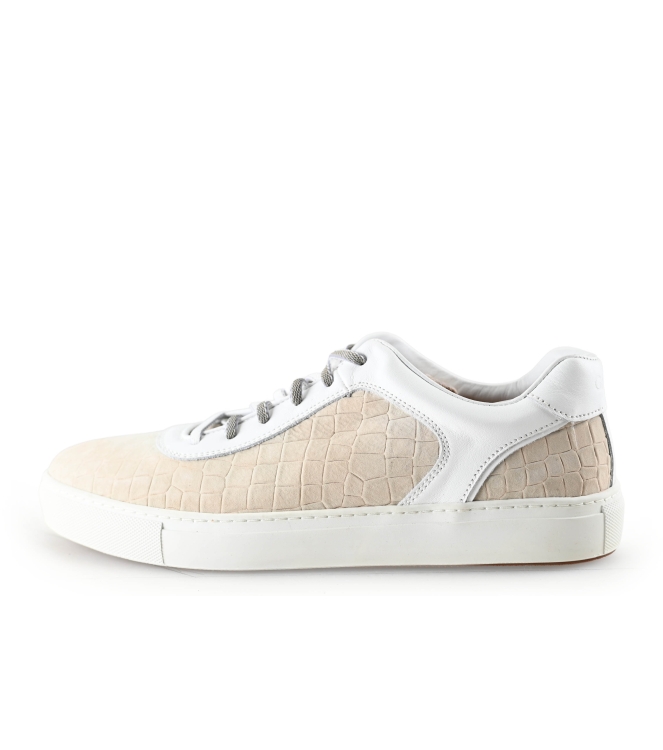 Greve Sneakers