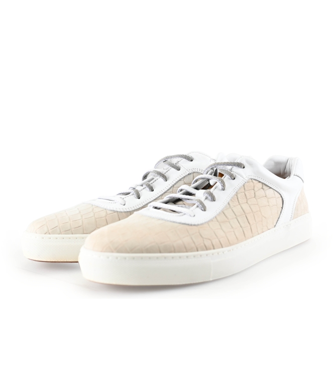 Greve Sneakers
