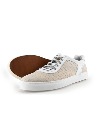 Greve Sneakers