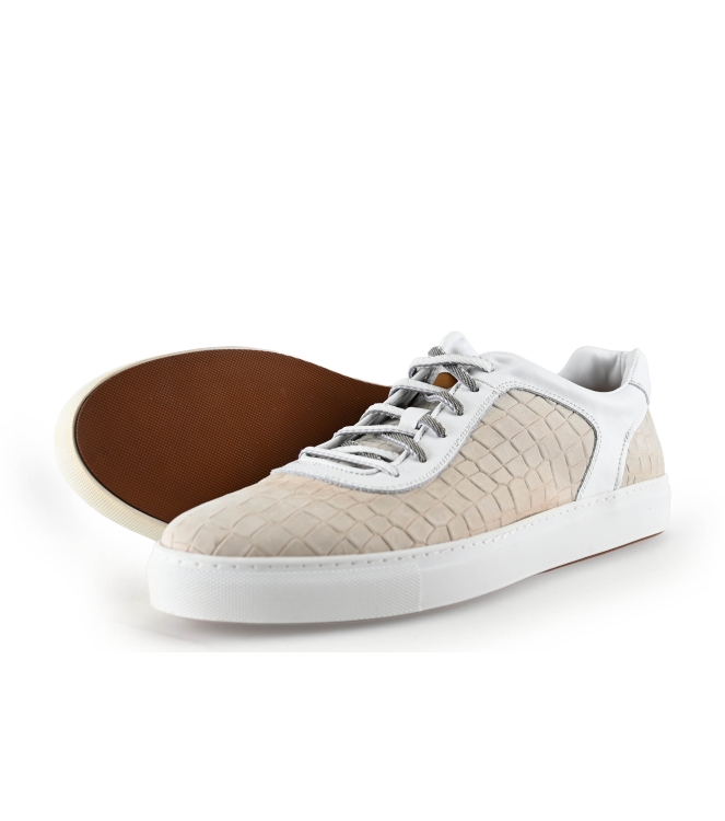 Greve Sneakers