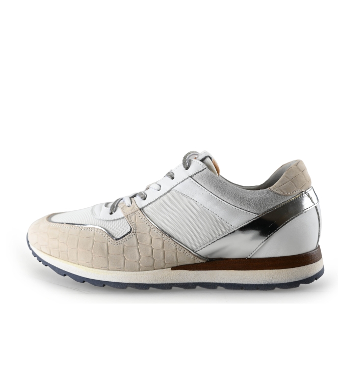 Greve Sneakers
