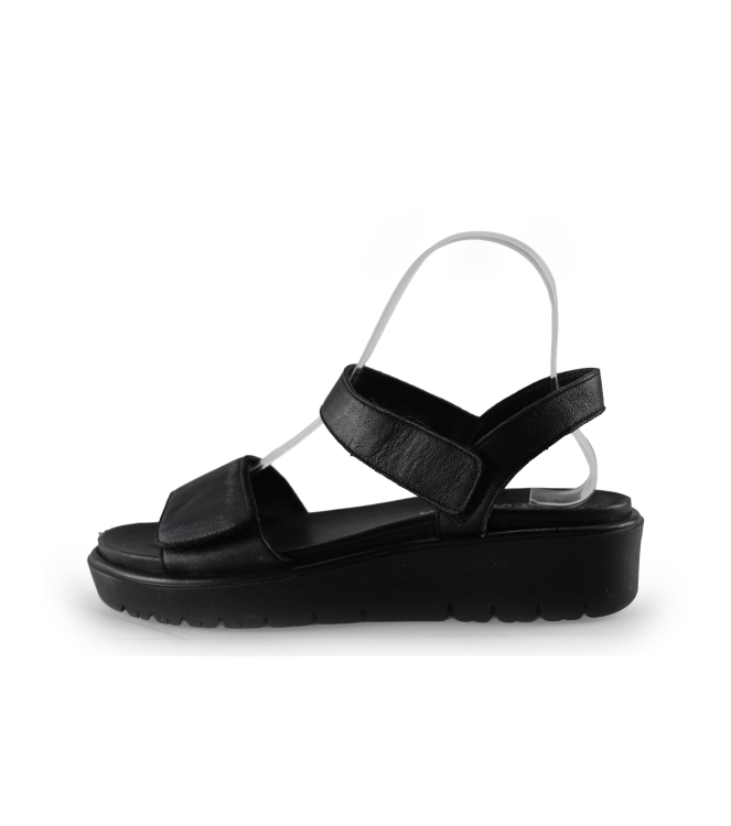 Ara Sandalen