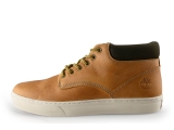 Timberland Hoge sneakers
