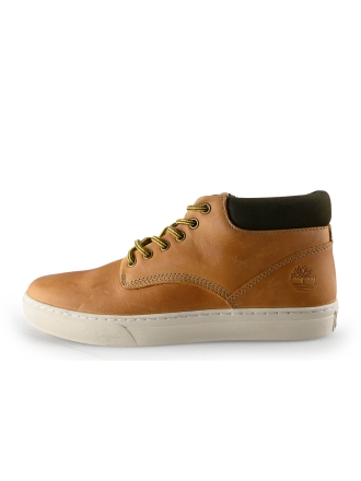 Timberland Hoge sneakers