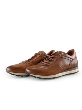 Greve Sneakers Bruin 290905