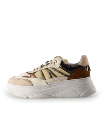 Nelson Sneakers Beige 291427