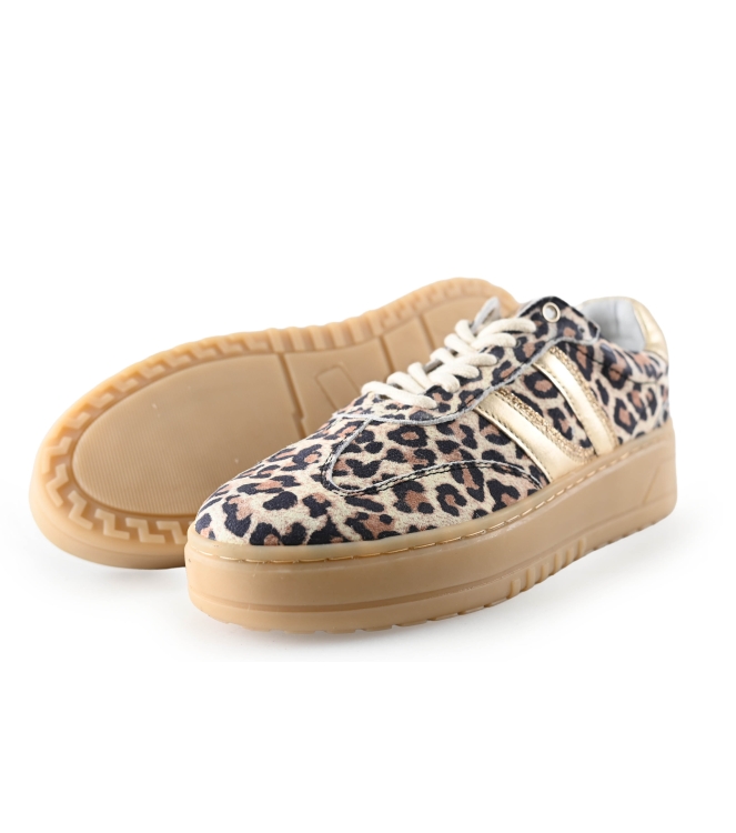 Poelman Sneakers