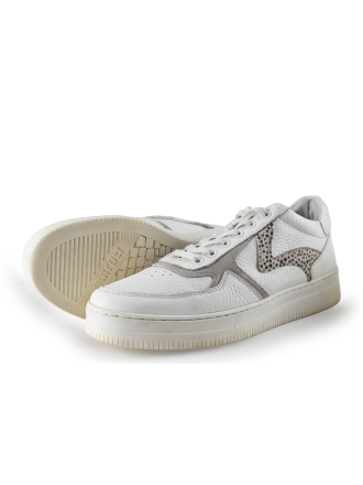 Maruti Sneakers