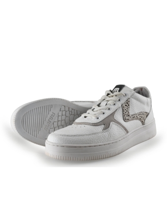 Maruti Sneakers