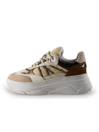 Nelson Sneakers Beige 292647