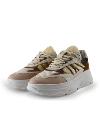 Nelson Sneakers Beige 292647