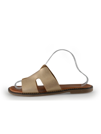 Dolcis Slippers Goud 292696