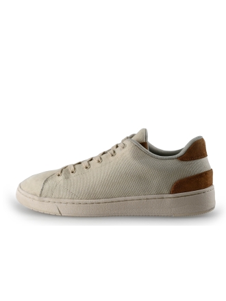 Toms Sneakers