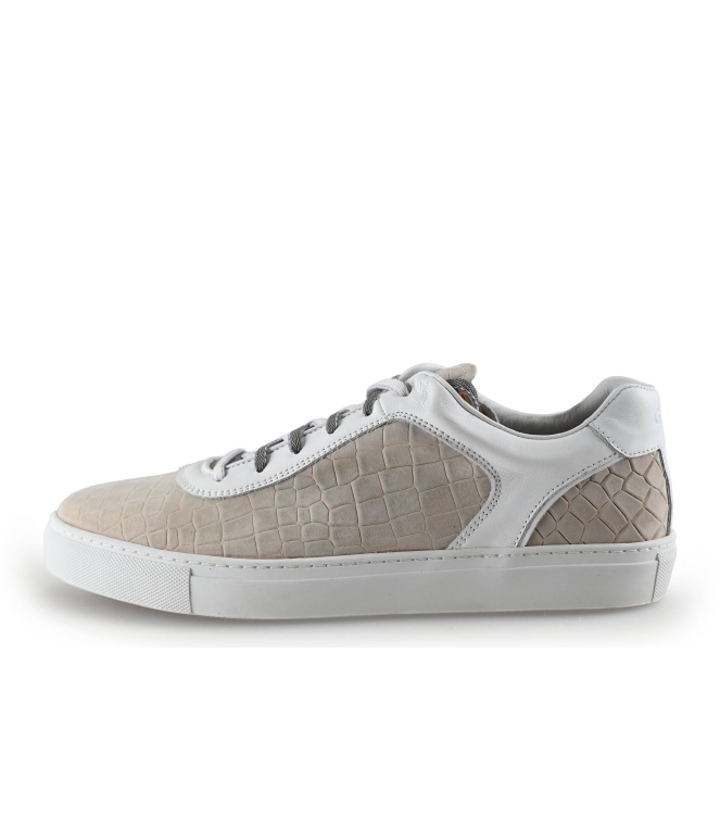 Greve Sneakers
