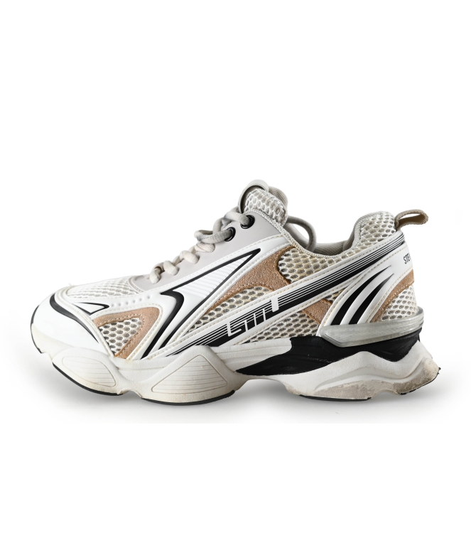 Steve Madden Sneakers