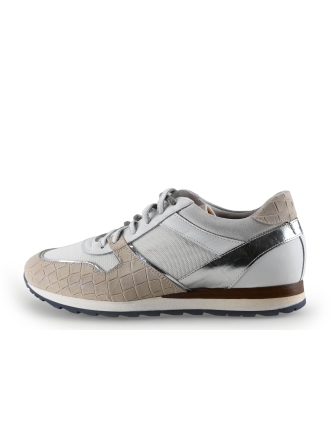 Greve Sneakers Wit 293332