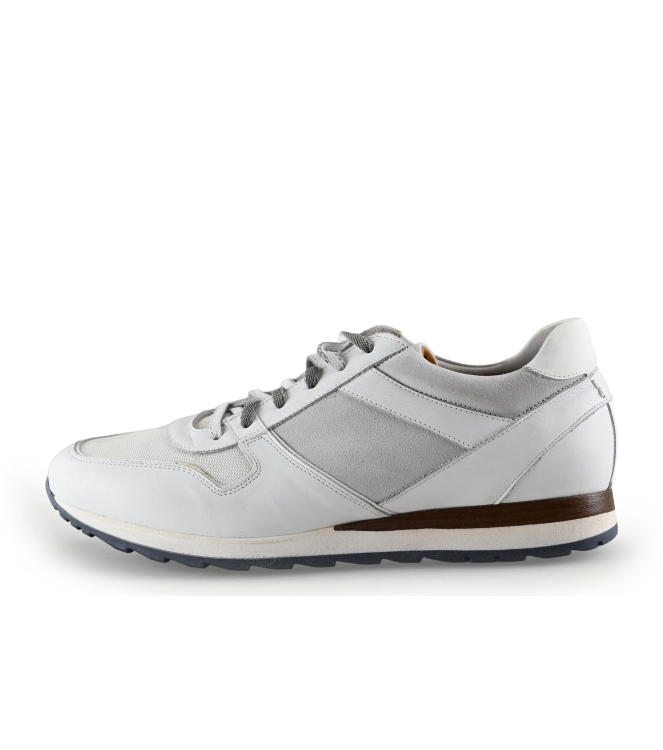 Greve Sneakers
