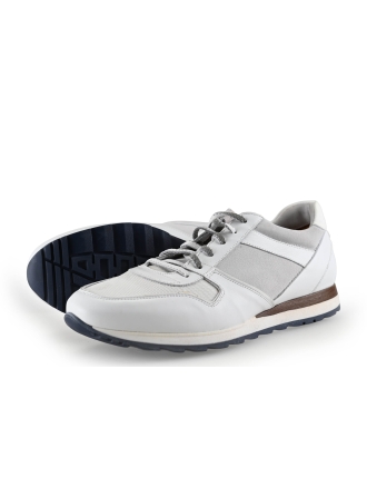 Greve Sneakers
