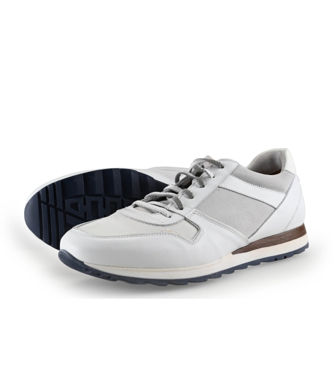 Greve Sneakers